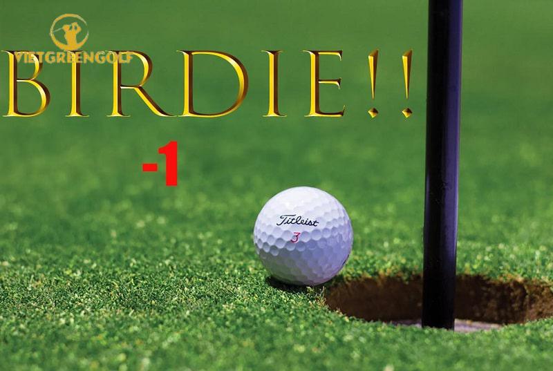 Thuật ngữ Birdie golf là gì ? Mọi Golfer đều mong đạt được