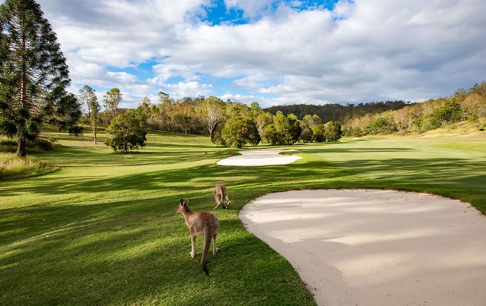 The Kooralbyn National, sân The Kooralbyn National, sân The Kooralbyn National Úc, du lịch golf úc