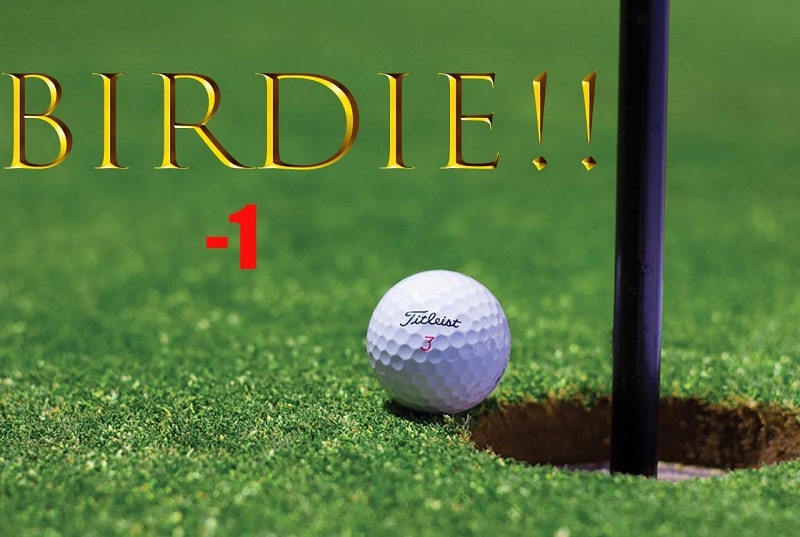 Birdie golf, kỷ lục Birdie Golf, tính điểm Birdie